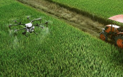 Drones para mirar el pasto desde otra perspectiva: la innovación de ITG en GrazeMaster